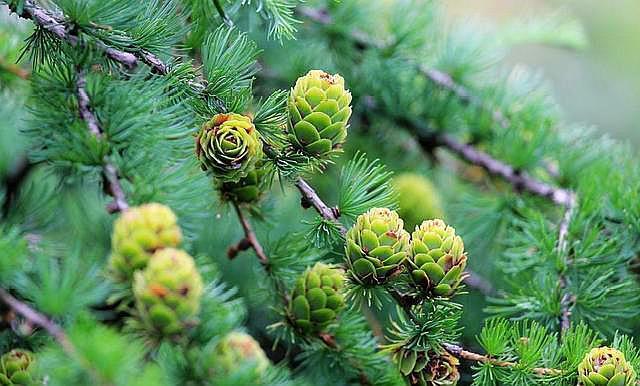 人落魄时遇见帮你的人一定要珍惜,当你落魄的时候请记住这四句话