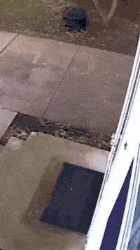 性取向测试,性取向测试怎么看结果