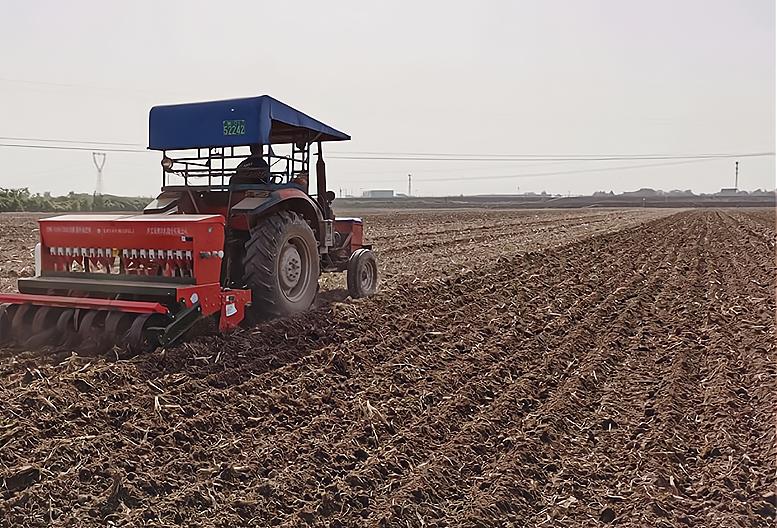 为啥要说穷死不耕丈人田什么意思,俗语再穷不耕丈人田