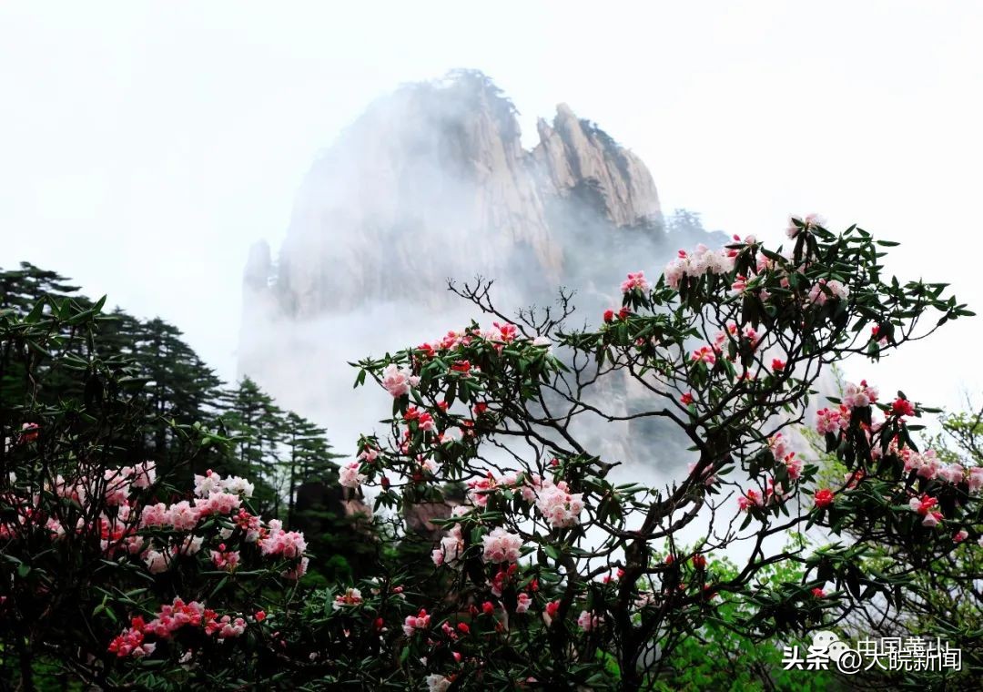 五一去黄山看云海攻略,五一放假郑州到黄山的攻略