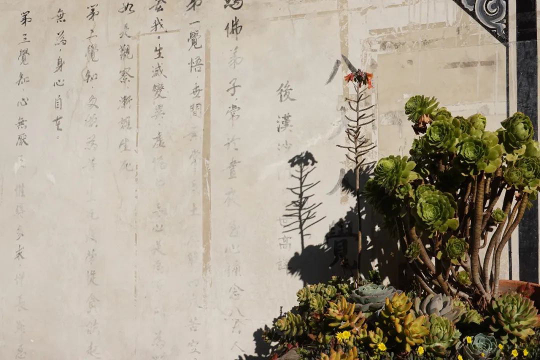 打飞的都要去坐的动车,怎么每站都这么好看