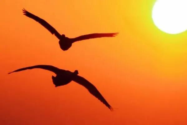 为何创业是致富最重要途径,创业对社会的意义