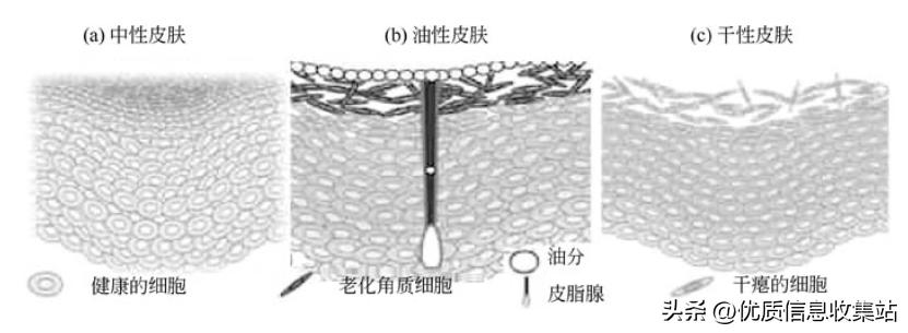 护肤书单爆款,美容化妆品书籍