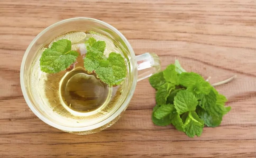 家里好养的绿植最新最流行的,家里好养的绿植推荐