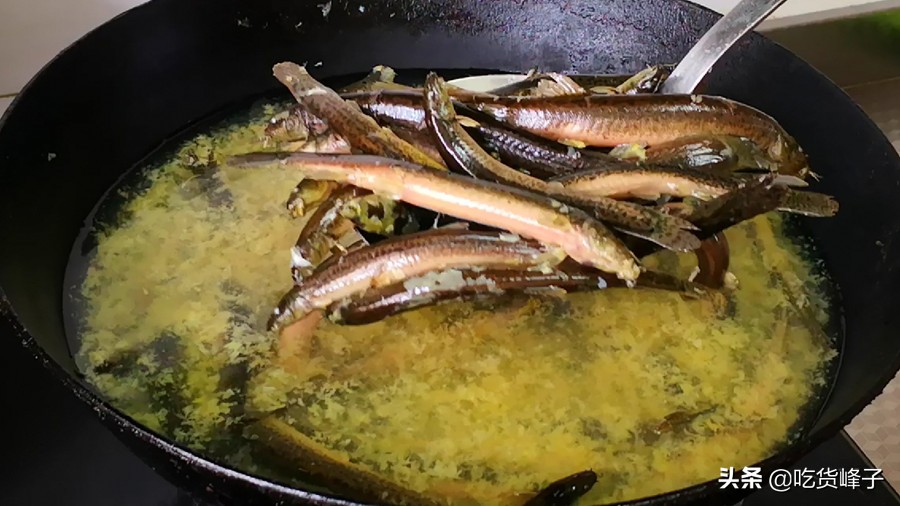 泥鳅美味营养价值还非常高,所有的泥鳅都有很高的营养价值吗