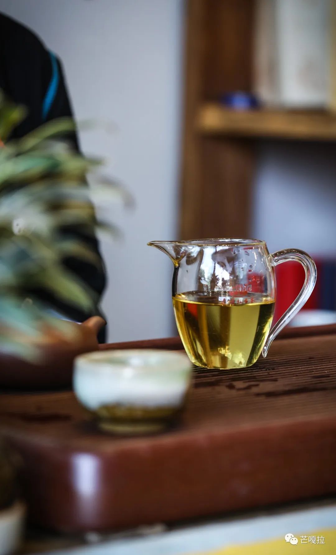 如何理解喝普洱茶时的体感,薄荷塘普洱茶有清凉感吗