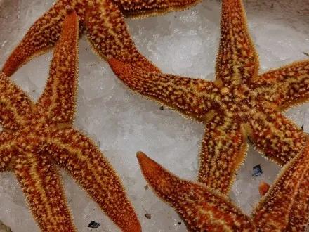 威海的味道像什么,威海的味道哪一个更让你心动