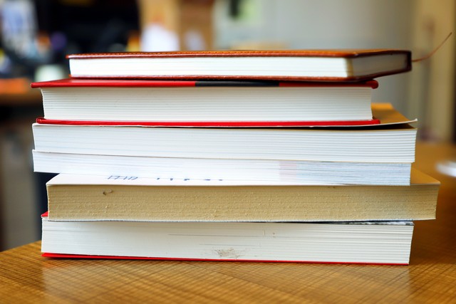 高中优秀作文1000字及点评,高中优秀作文500字加点评