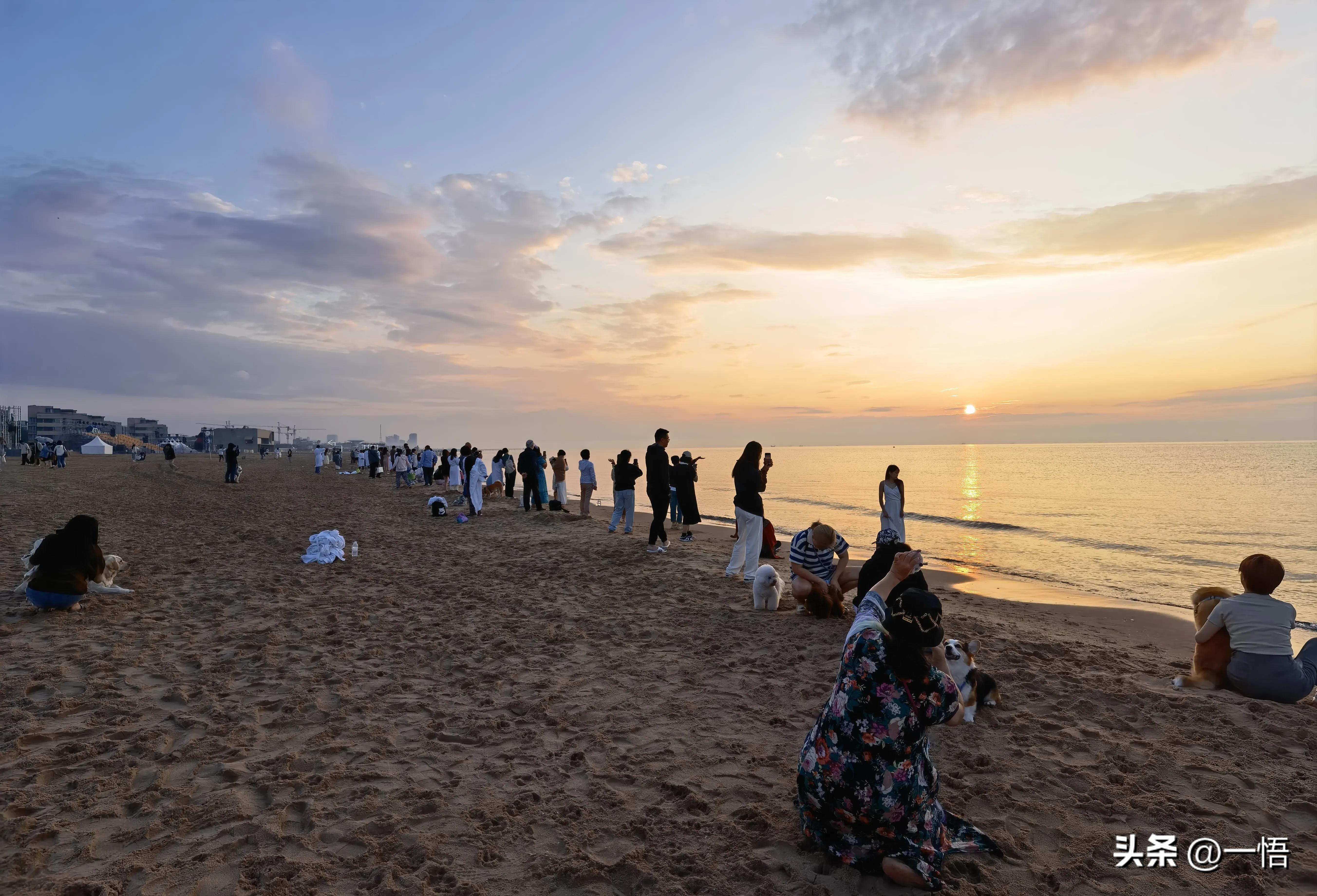 2023上海到秦皇岛承德十日游第四天：看阿那亚的海，逢犬舍的安娜