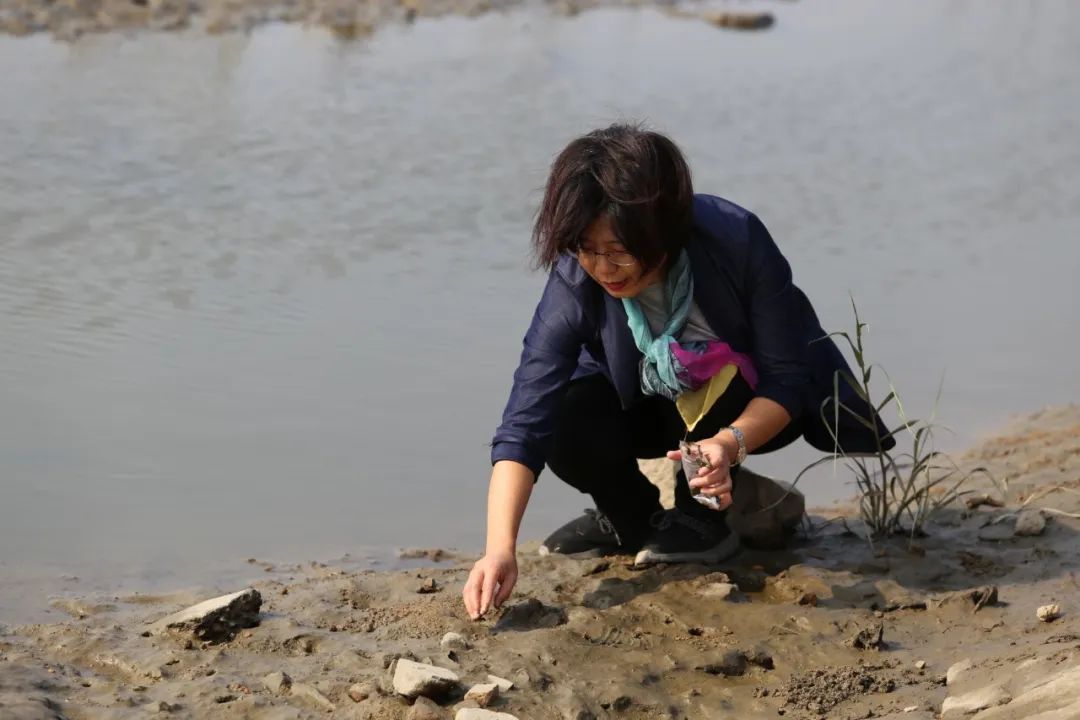 湿地保护公益诉讼典型案例,最高检河道治理公益诉讼典型案例