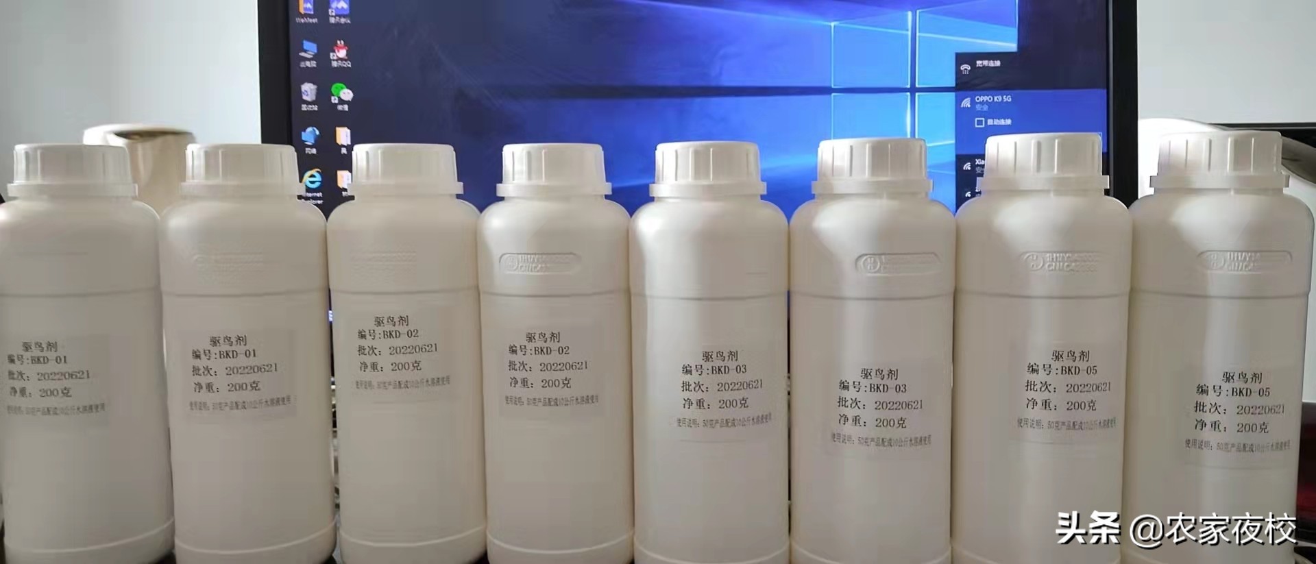 庄稼怎么防鸟,庄稼怎么防喜鹊