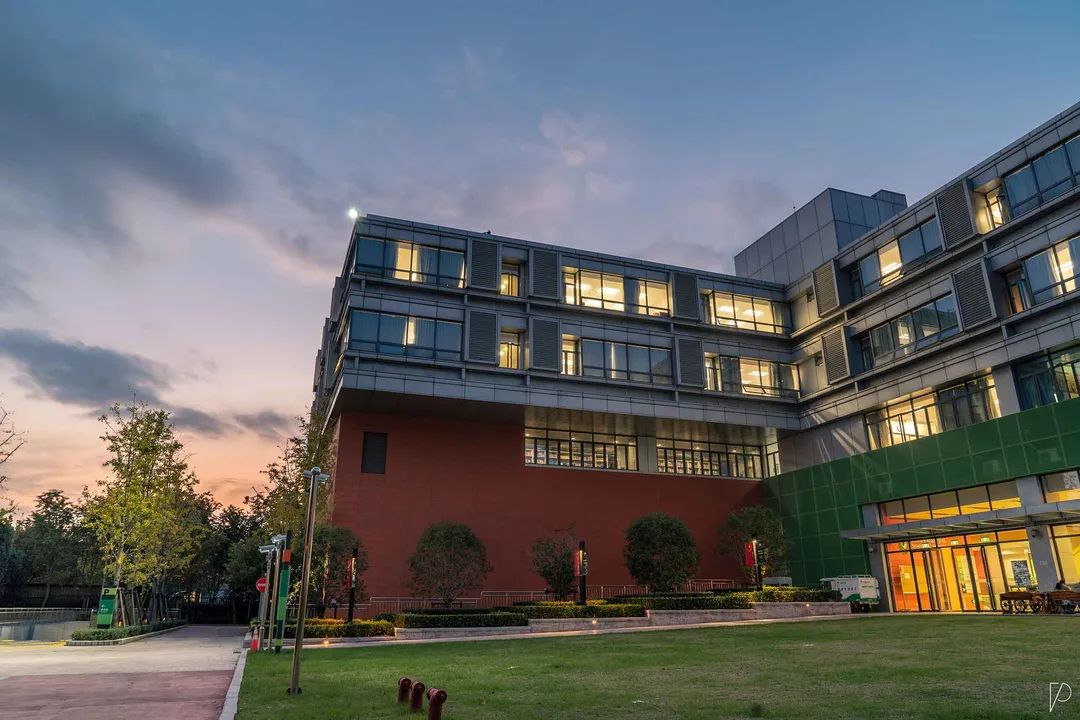 平和/WLSA/交中/阿德狂揽牛剑面邀，谁是2022申请季最大黑马？