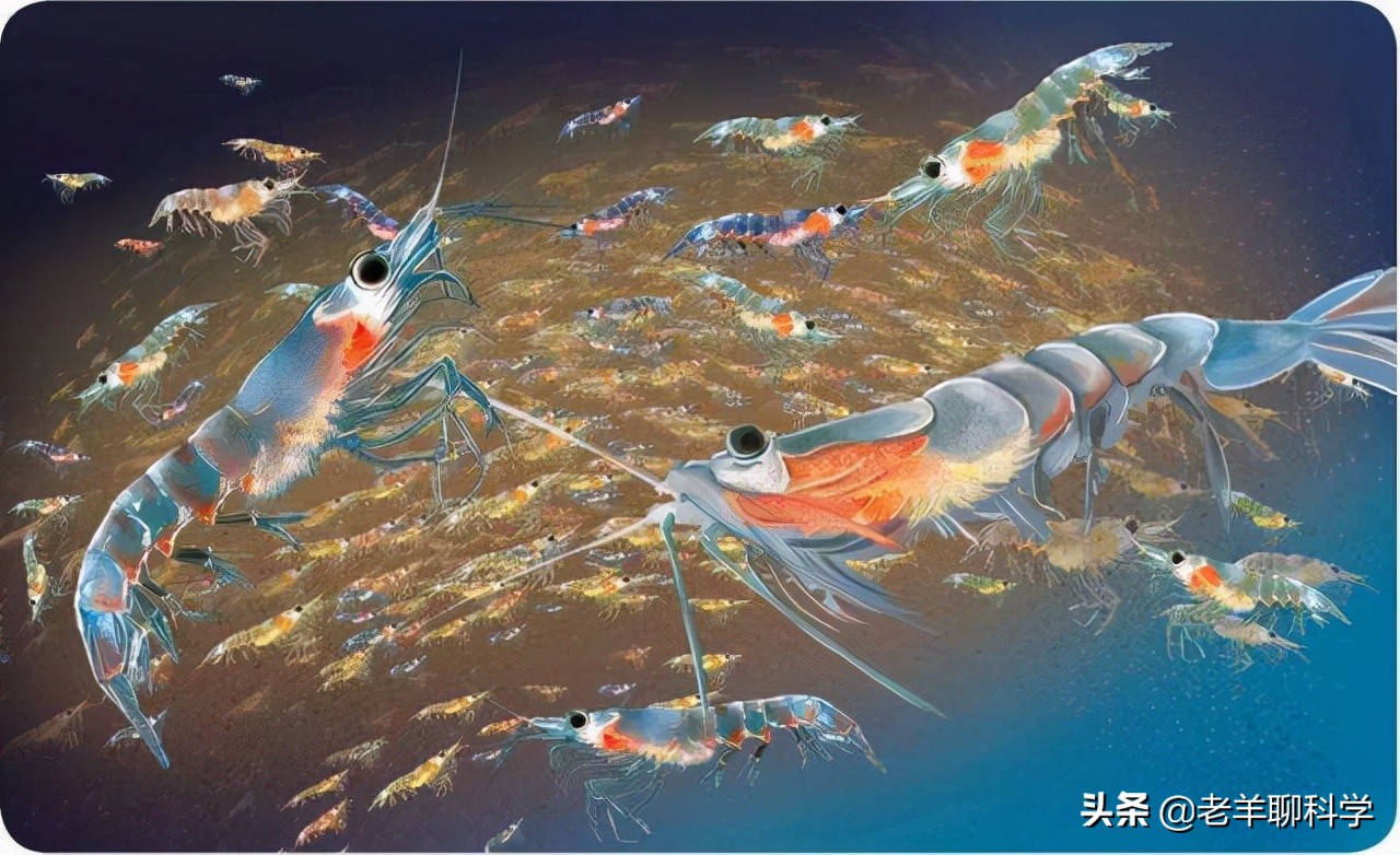 14亿国人的福音：10亿吨“海上金矿”，吃不完繁殖快，为何有隐患