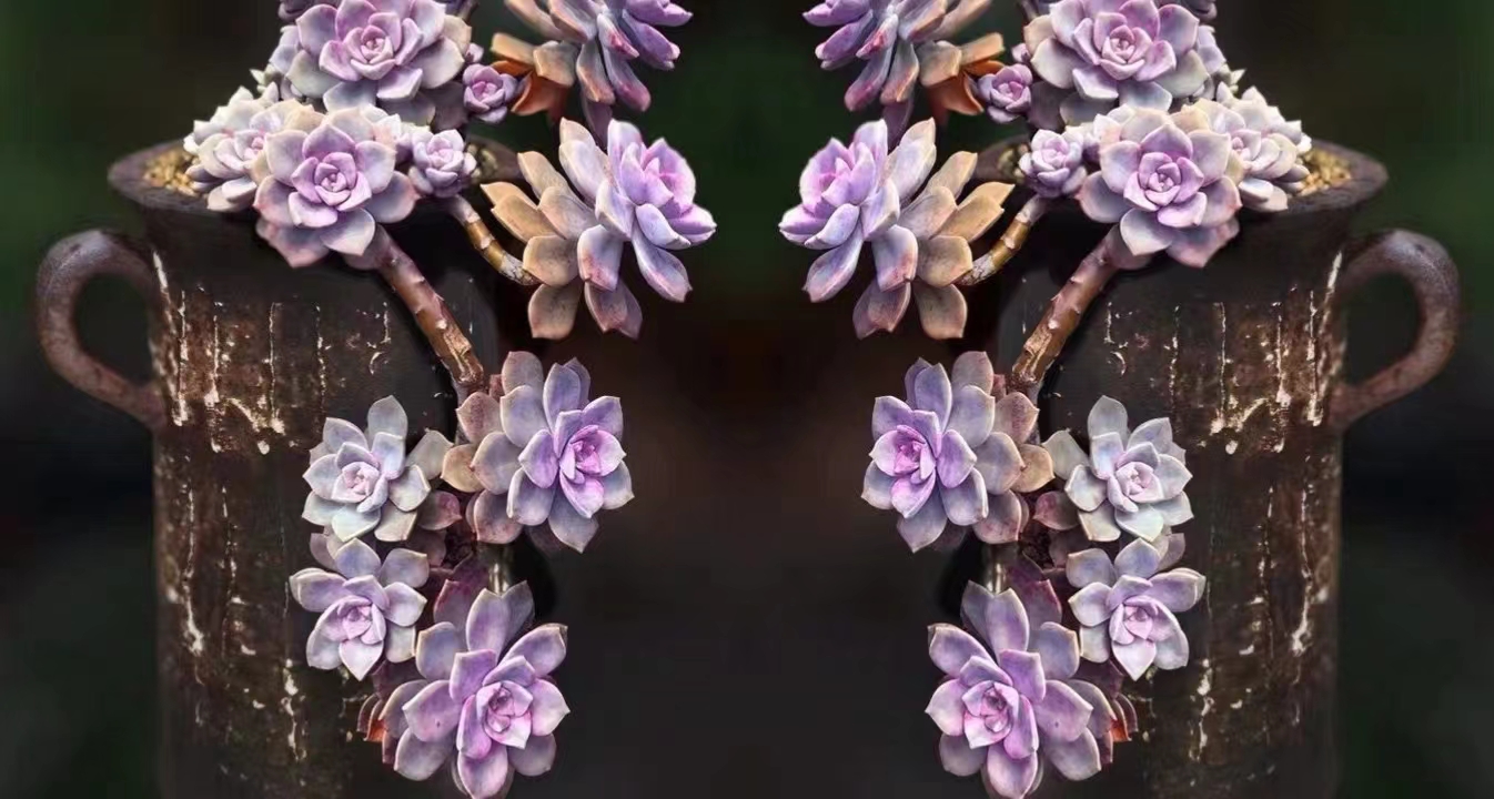 拼图技巧之“镜像”与“三连张”