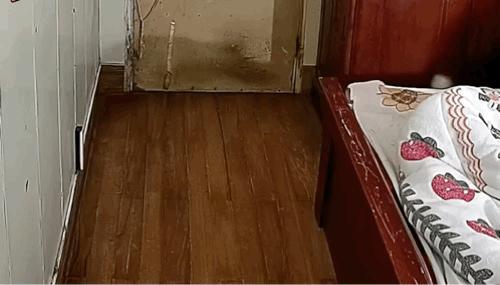 搞笑神回复骨头硬了,搞笑神回复神评论图片