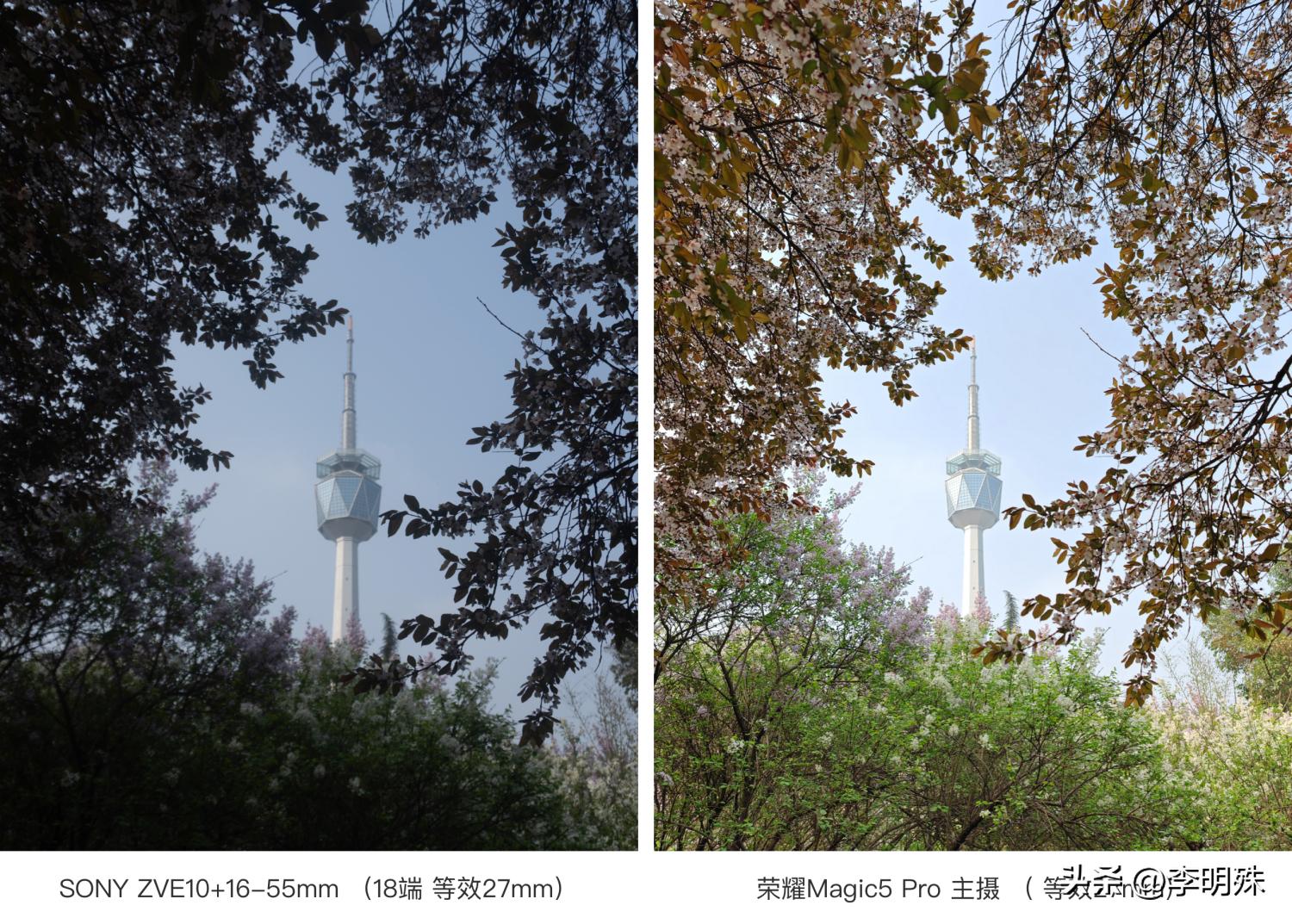 初学摄影要买哪一款照相机啊,业余摄影爱好者有必要买相机吗