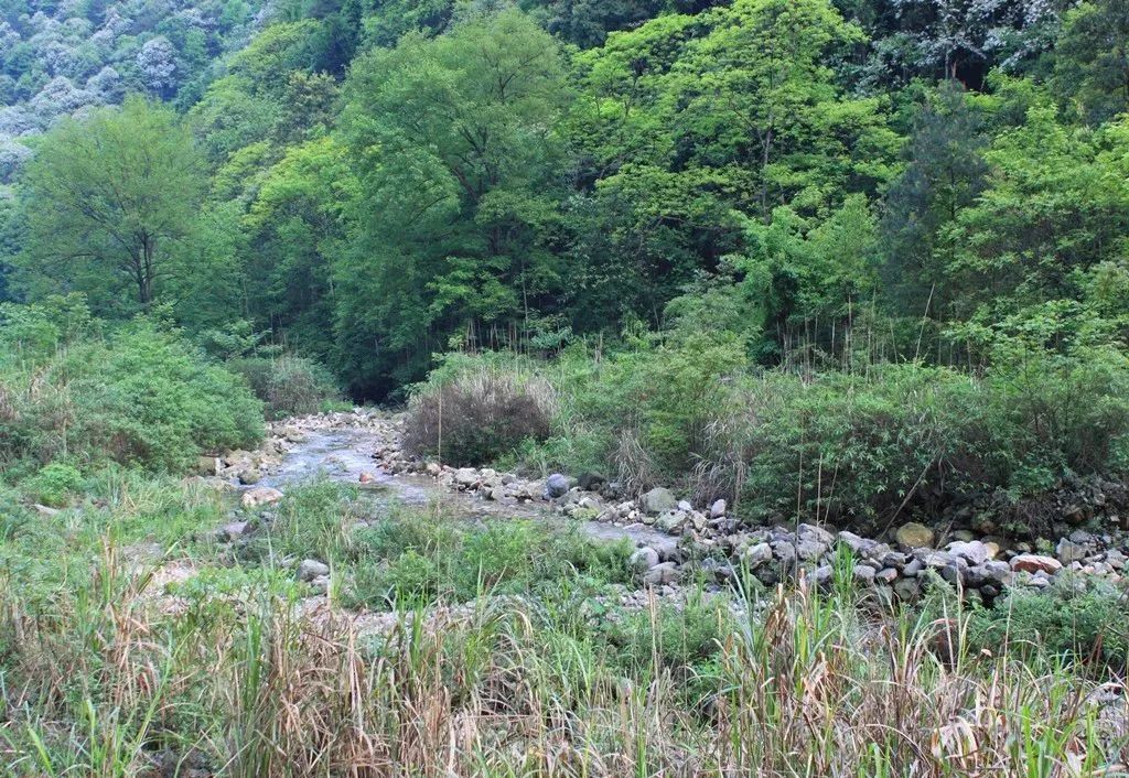 张家界旅游推荐景点大全,张家界武陵源旅游攻略最新