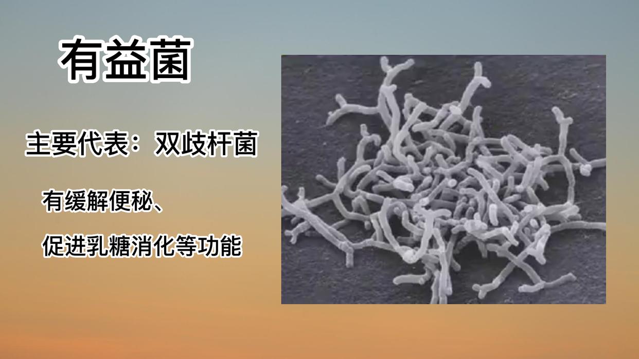 人体细菌数量是细胞数的多少倍,人体内的细胞和细菌数量哪个多