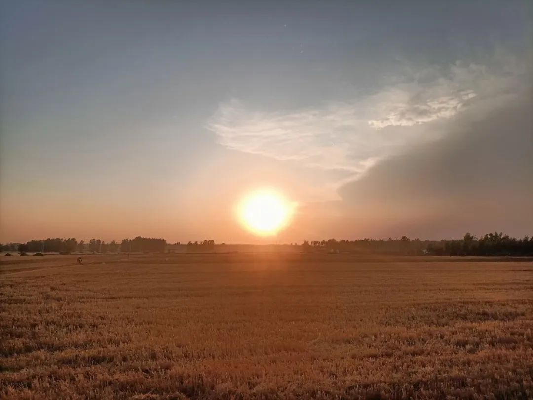 致敬经典中央电视台主持人,中央电视台向经典致敬主持人