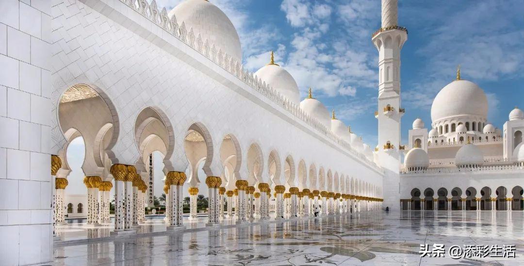 新高考作文素材书推荐,新高考议论文作文素材