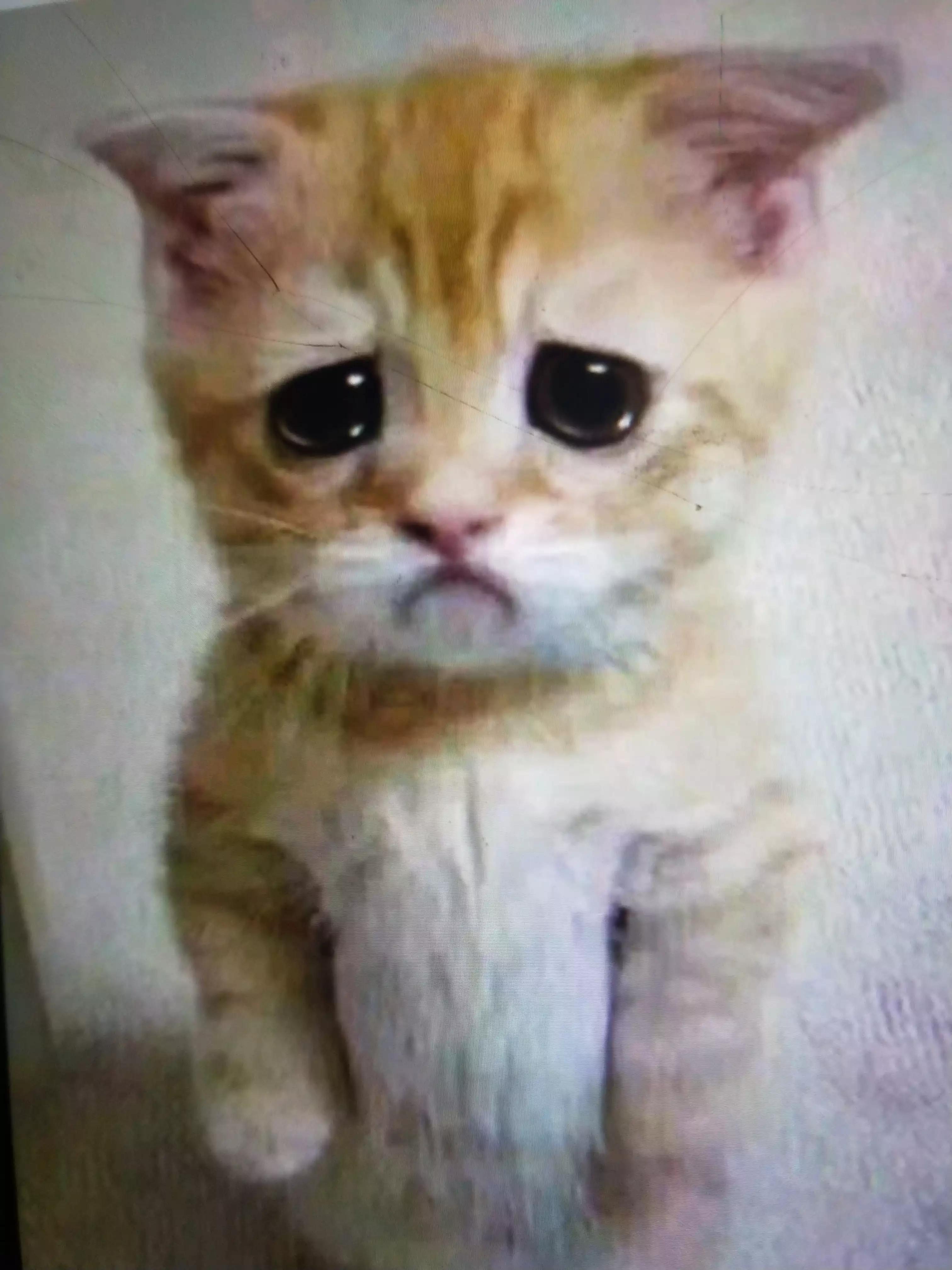 被忽悠的心,被忽悠心里难过