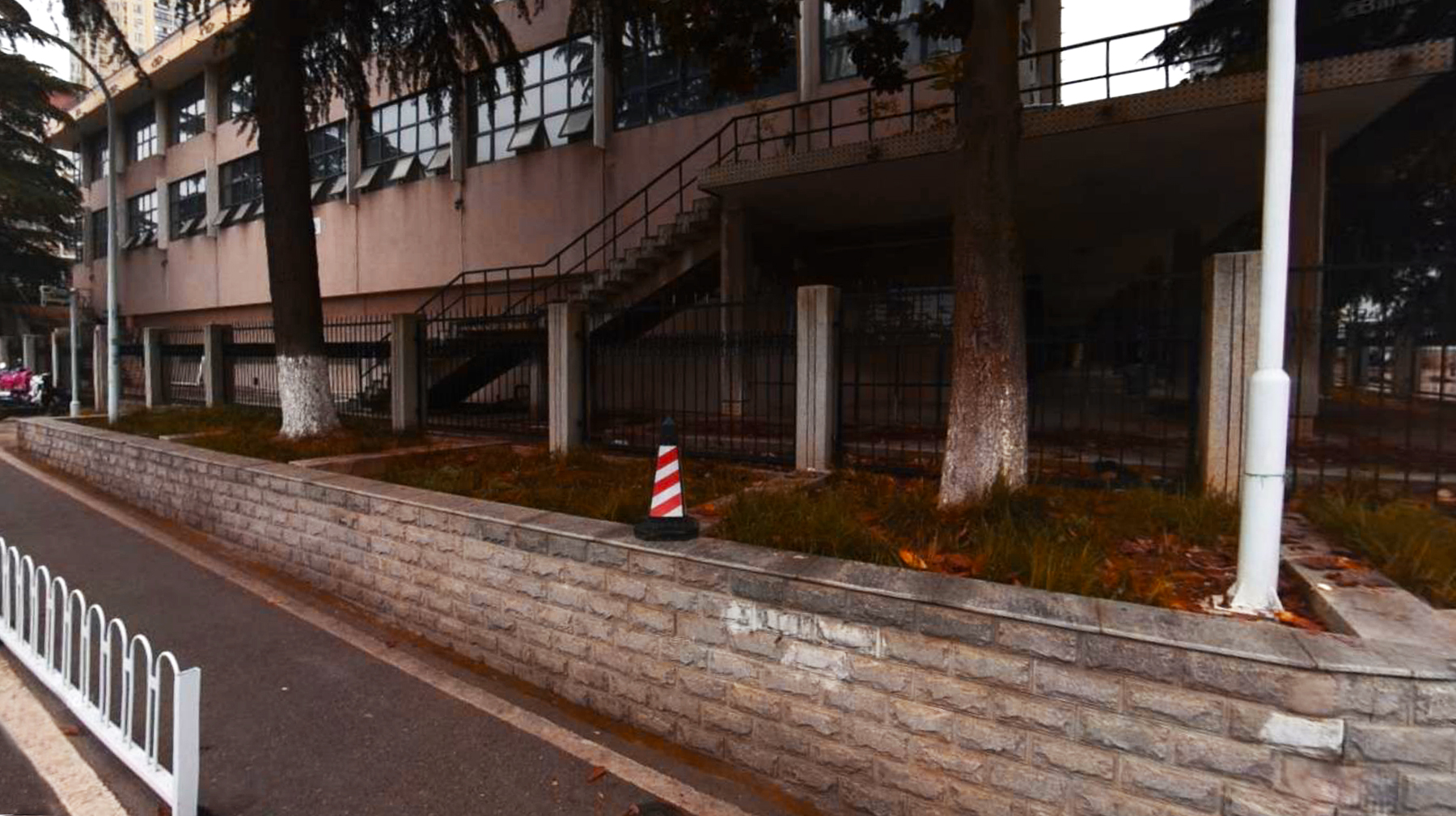 武汉城市学院梧桐树,武汉被高校环绕的景区