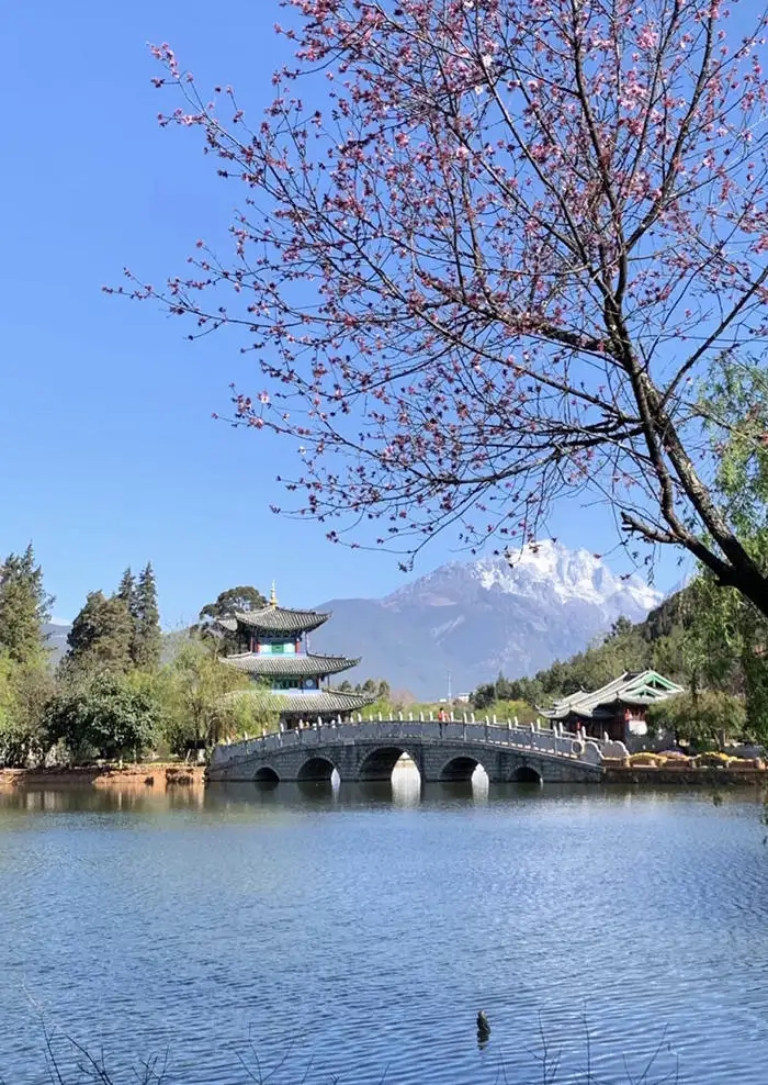 云南旅游攻略昆明景点有哪些,云南昆明旅游攻略自由行路线