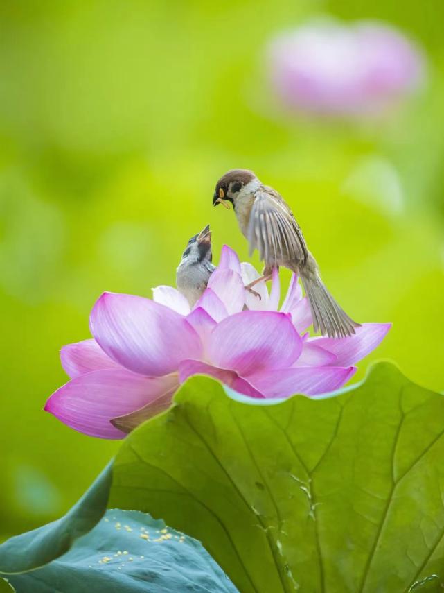 成都高校现在对外开放了吗,成都高校最新消息