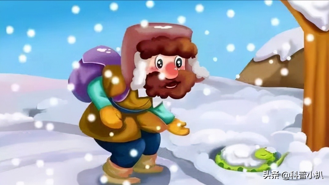 小伙救蛇后多年后蛇报恩,女子救蛇多年后长成巨蛇