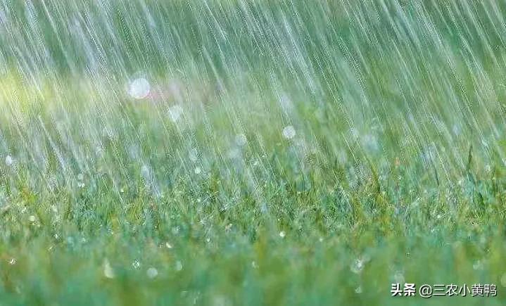 今天十一月初一,俗语“穷人莫着急,只看冬月三个一”,啥意思?