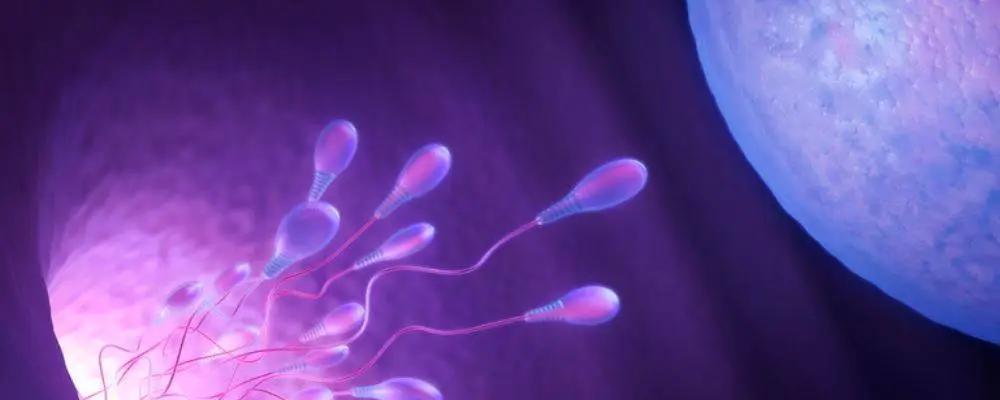 进入女性体内后，没“受精”成功的精子都去哪儿了？既好笑又心疼