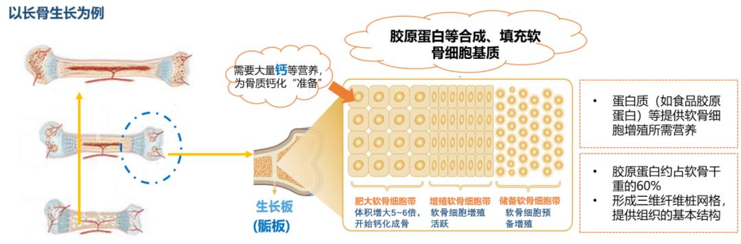 最新儿童身高出炉你家孩子达标吗,秋季孩子的身高标准