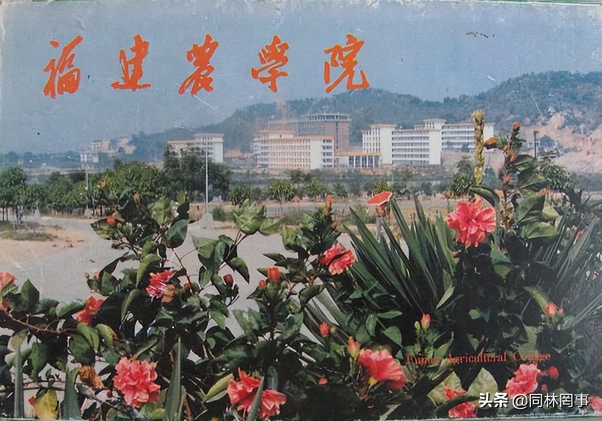 70后眼中的大学146之福建农林大学——农+林,1+1大于了2