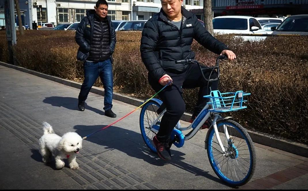 上海74岁老人去世5天后儿子被捕,上海62岁独居老人病死家中