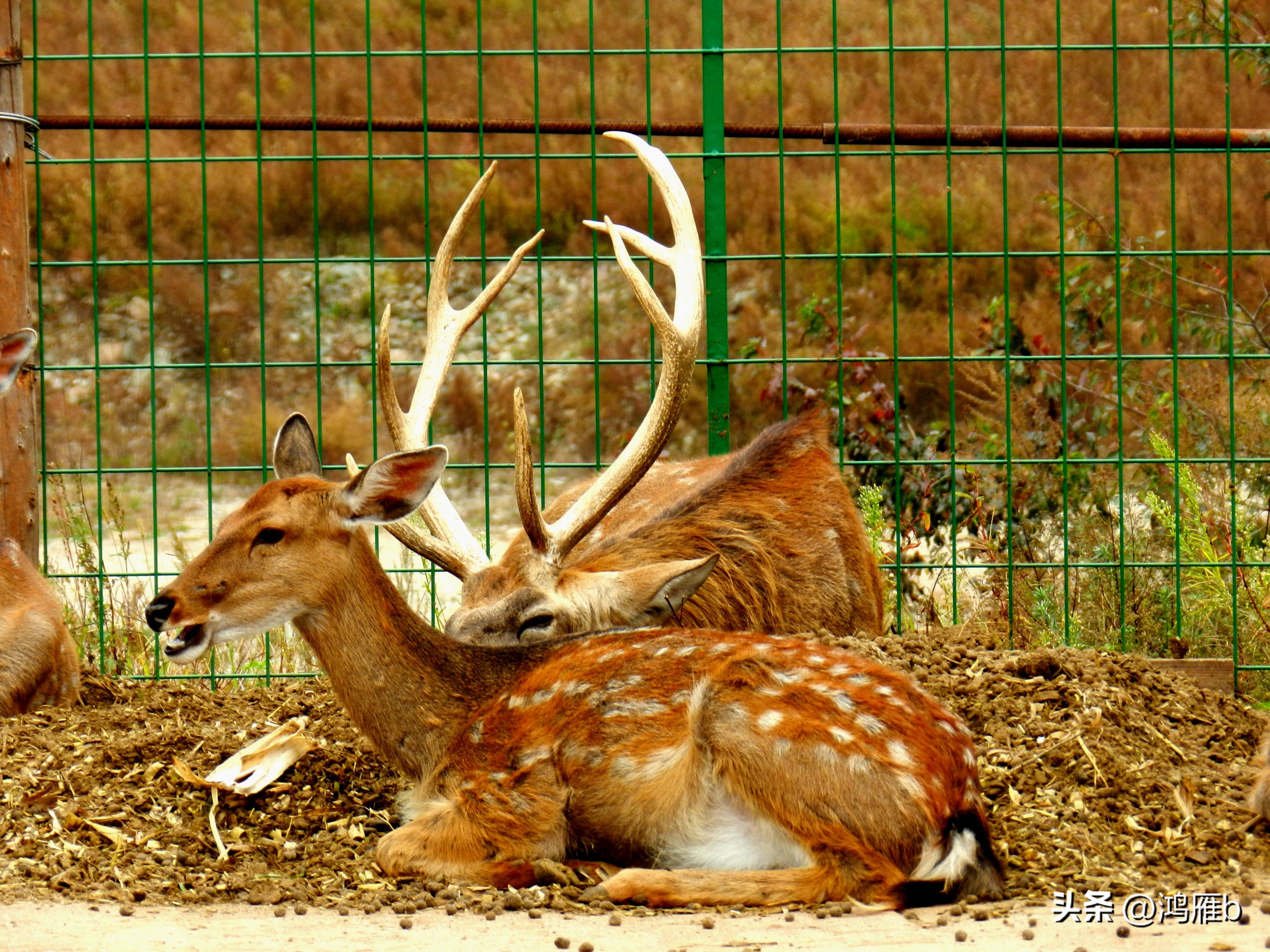 本溪温泉汤沟门票价格,本溪花溪沐枫雪温泉小镇