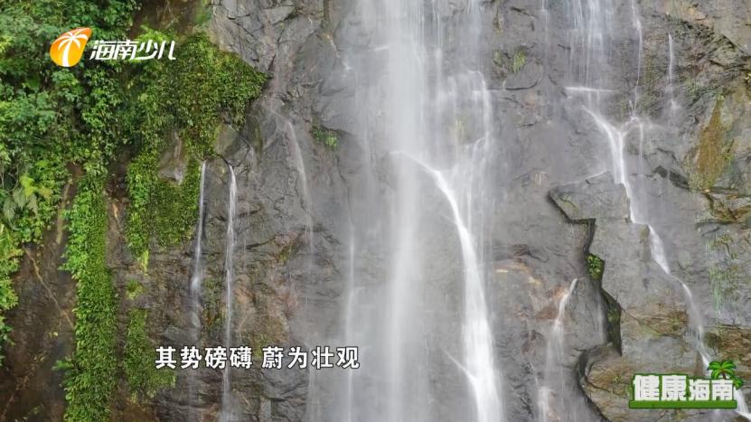 健康海南｜医疗护理师话说快乐健康去旅行！