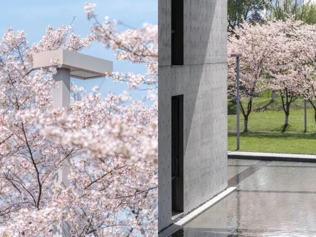 听我的，四月的杭州才是浪漫天花板。