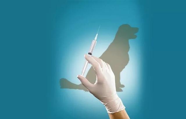 医生分析：目前比较难治愈的6种疾病，抑郁症上榜，你还知道哪些