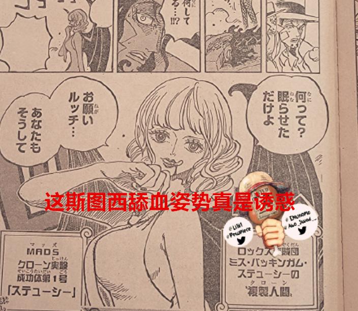 海贼王斯图西的能力,海贼王1074斯图西