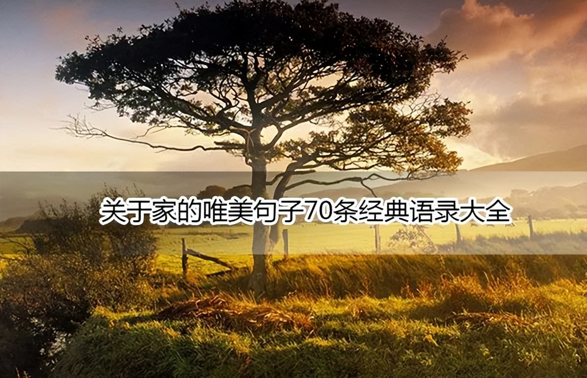 家的干净整洁温暖唯美句子,时光流逝的唯美句子与家有关