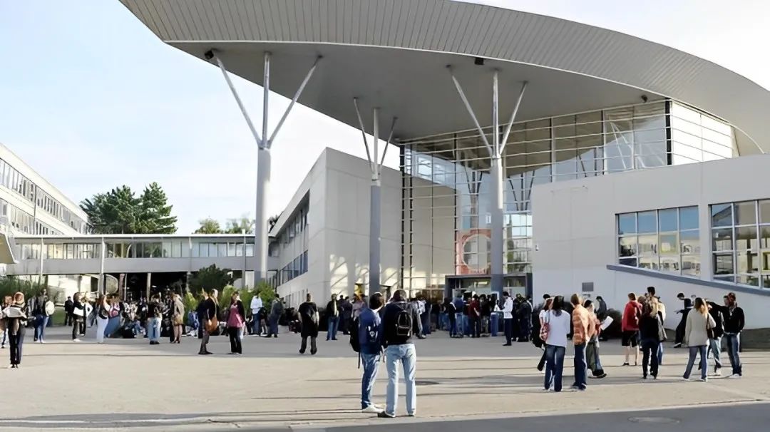 闆锋仼浜屽ぇ鎺掑悕濡備綍,闆锋仼浜屽ぇ涓栫晫鎺掑悕