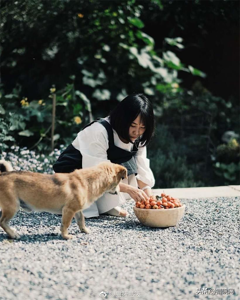 破旧老房田园生活,一家5口蜗居北京17平米改造后