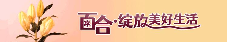 端午节艾草节,五月端午艾草香