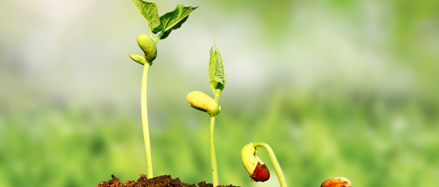 讲述癌症患者抗癌的艰难历程,抗癌三十七年