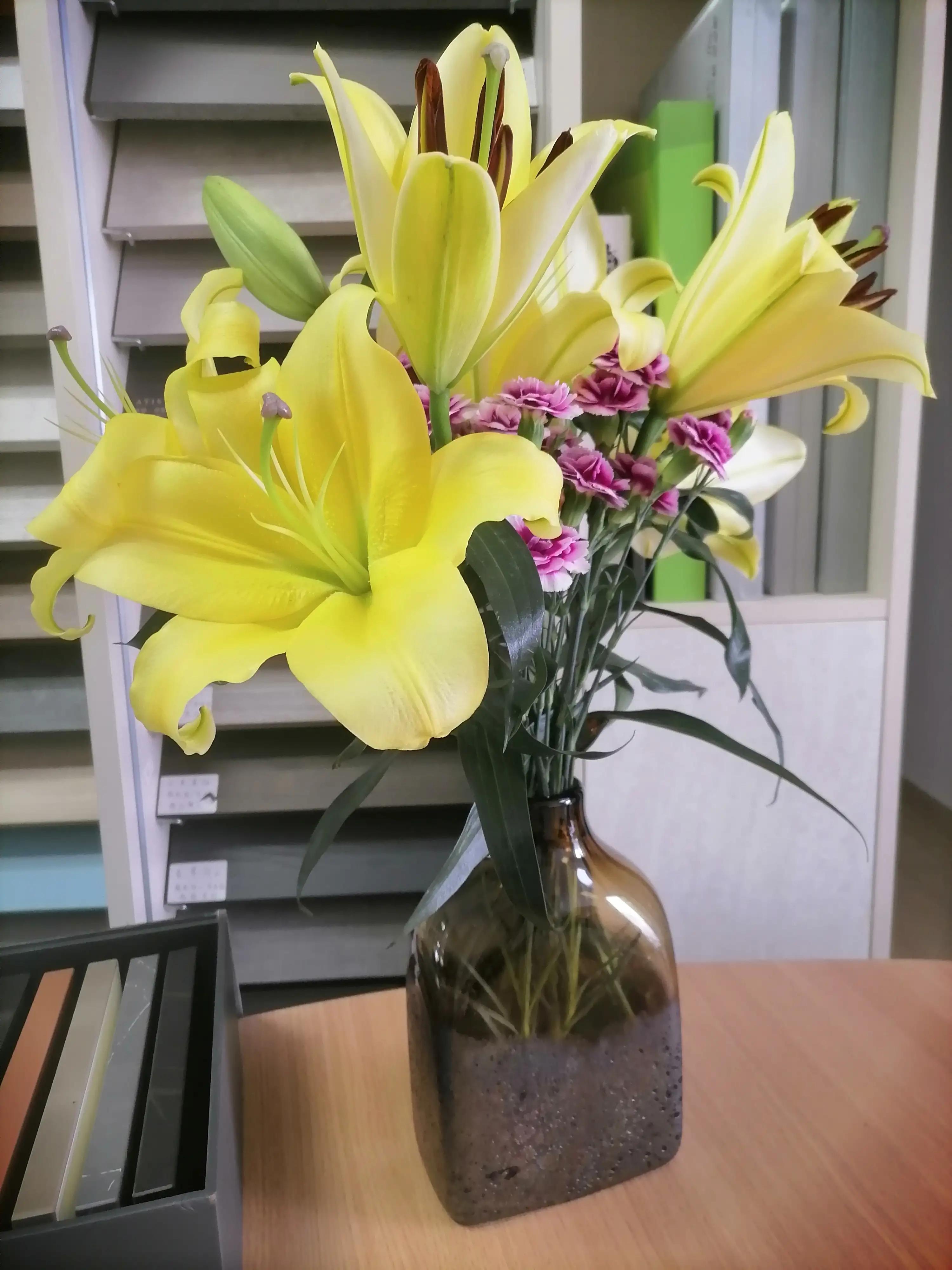 汕尾的工作那么难找吗?除了进厂没有别的出路?