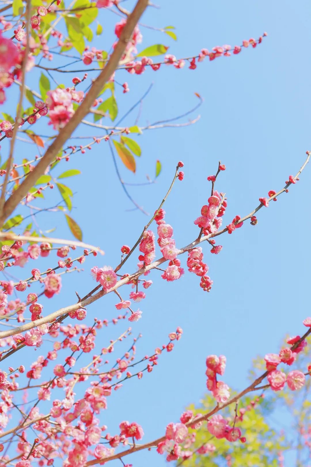 最惬意的时光的诗词,最闲情雅致的诗词