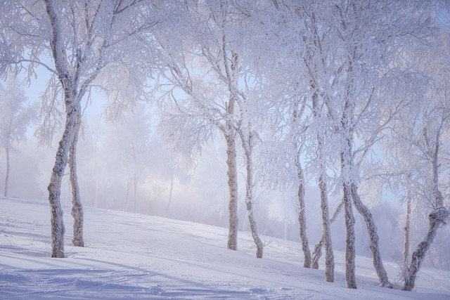 崇礼万龙滑雪场的介绍,崇礼万龙滑雪场