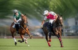 真正polo标志,真polo和假polo的图案