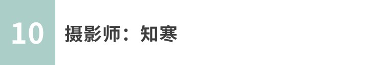 手机摄影作品欣赏夏荷之韵,夏荷摄影效果怎么样