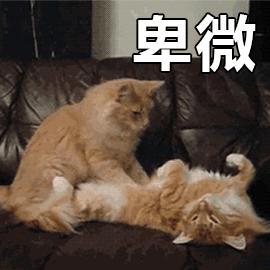 夏可叔叔扒产品,欧莱雅20霜真假鉴别